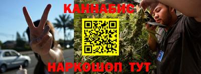 крисы Пенза