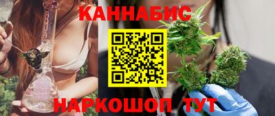 крисы Пенза