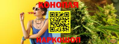 крисы Пенза