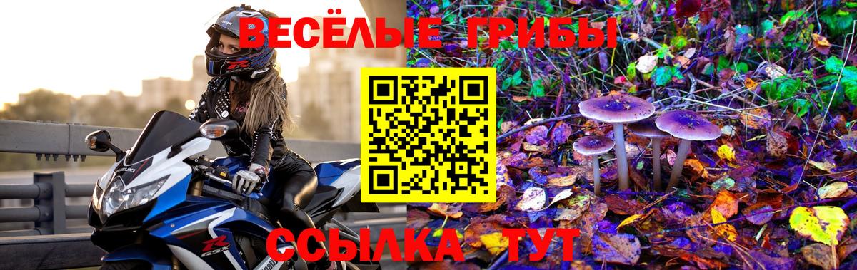 Галлюциногенные грибы GOLDEN TEACHER  Вход с VPN  наркошоп  Северобайкальск 